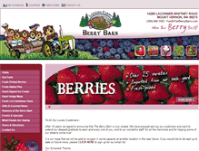 Tablet Screenshot of funattheberrybarn.com